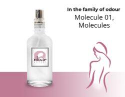 Molecule 01, Molecules