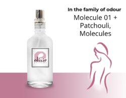 Molecule 01 + Patchouli, Molecules