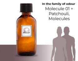 Molecule 01 + Patchouli, Molecules