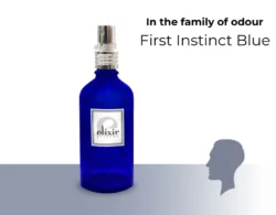 First Instinct Blue Abercrombie & Fitch